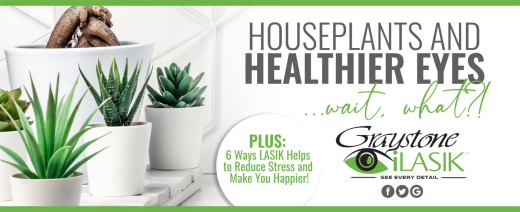 Houseplants and Healthier Eyes… Wait, What?!